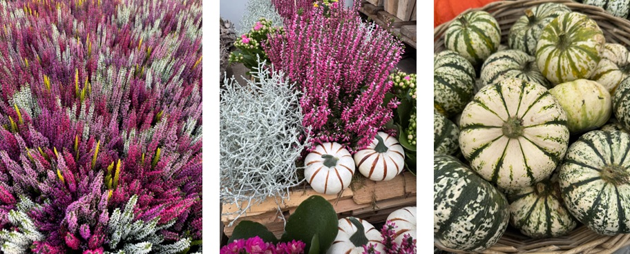 Herfst